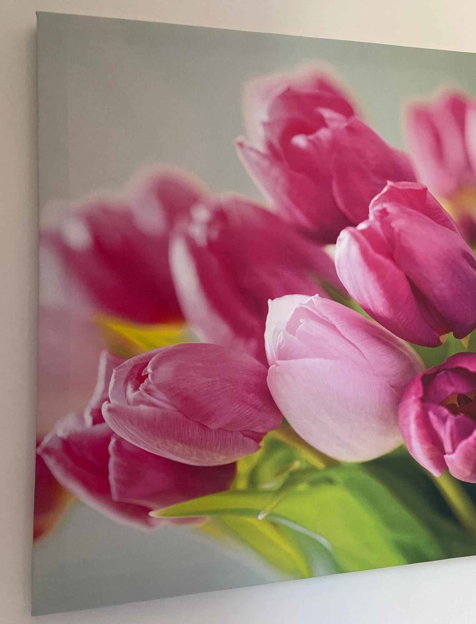 Four Flowers Apartman ชิโอฟก ภายนอก รูปภาพ
