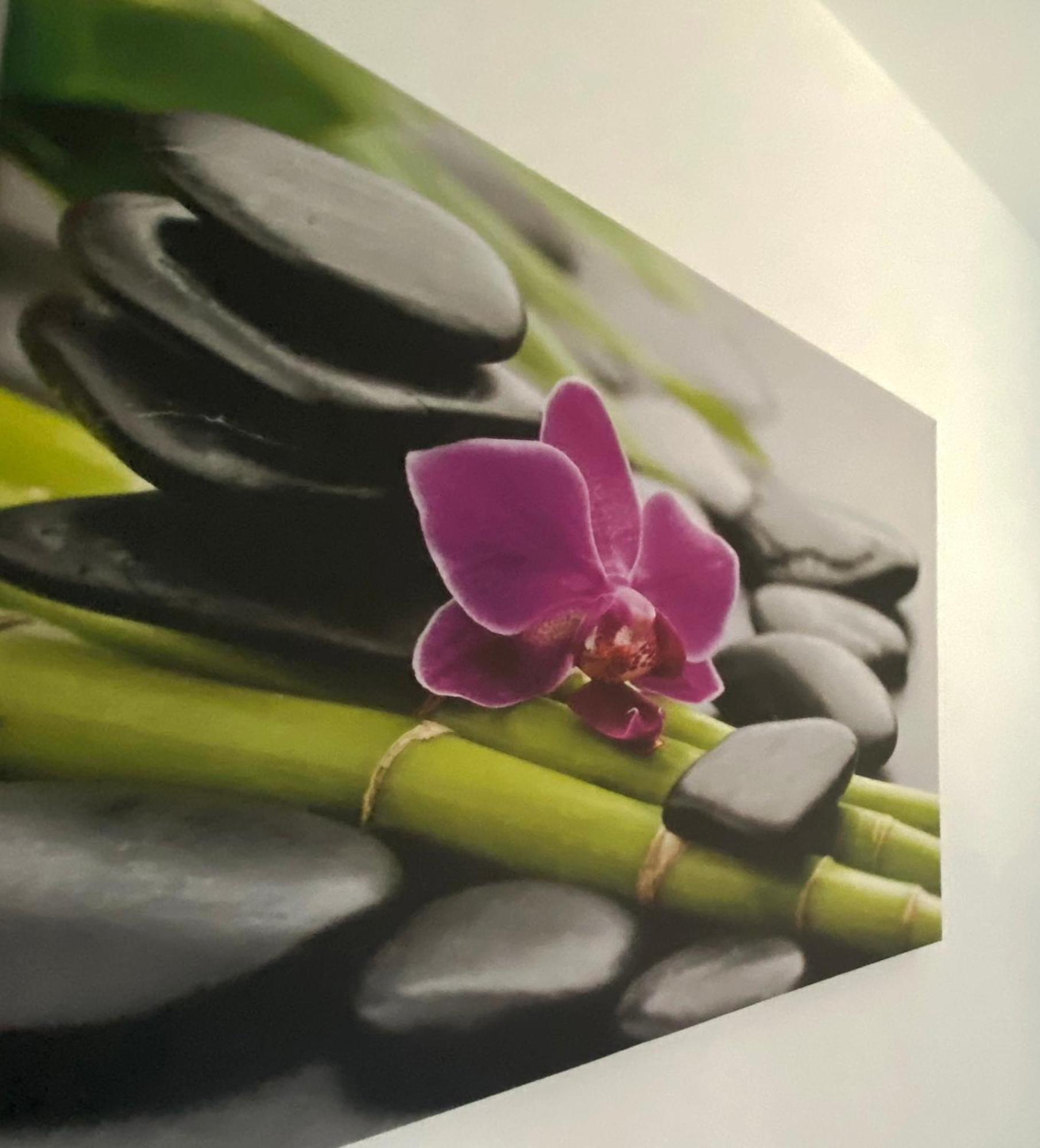 Four Flowers Apartman ชิโอฟก ภายนอก รูปภาพ